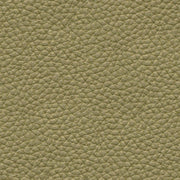 Upholstery Bravo Ll Alfalfa Toto Fabrics Online