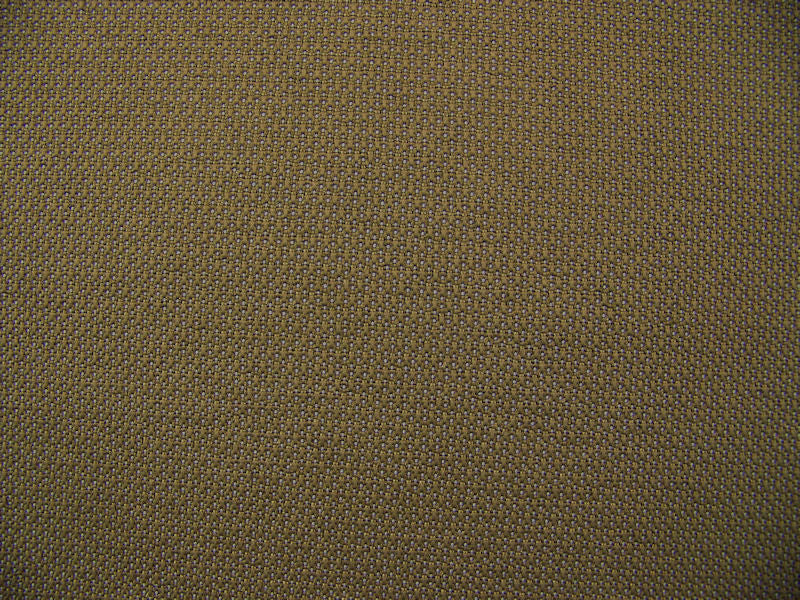 Fabric Remnant of California Sacrem