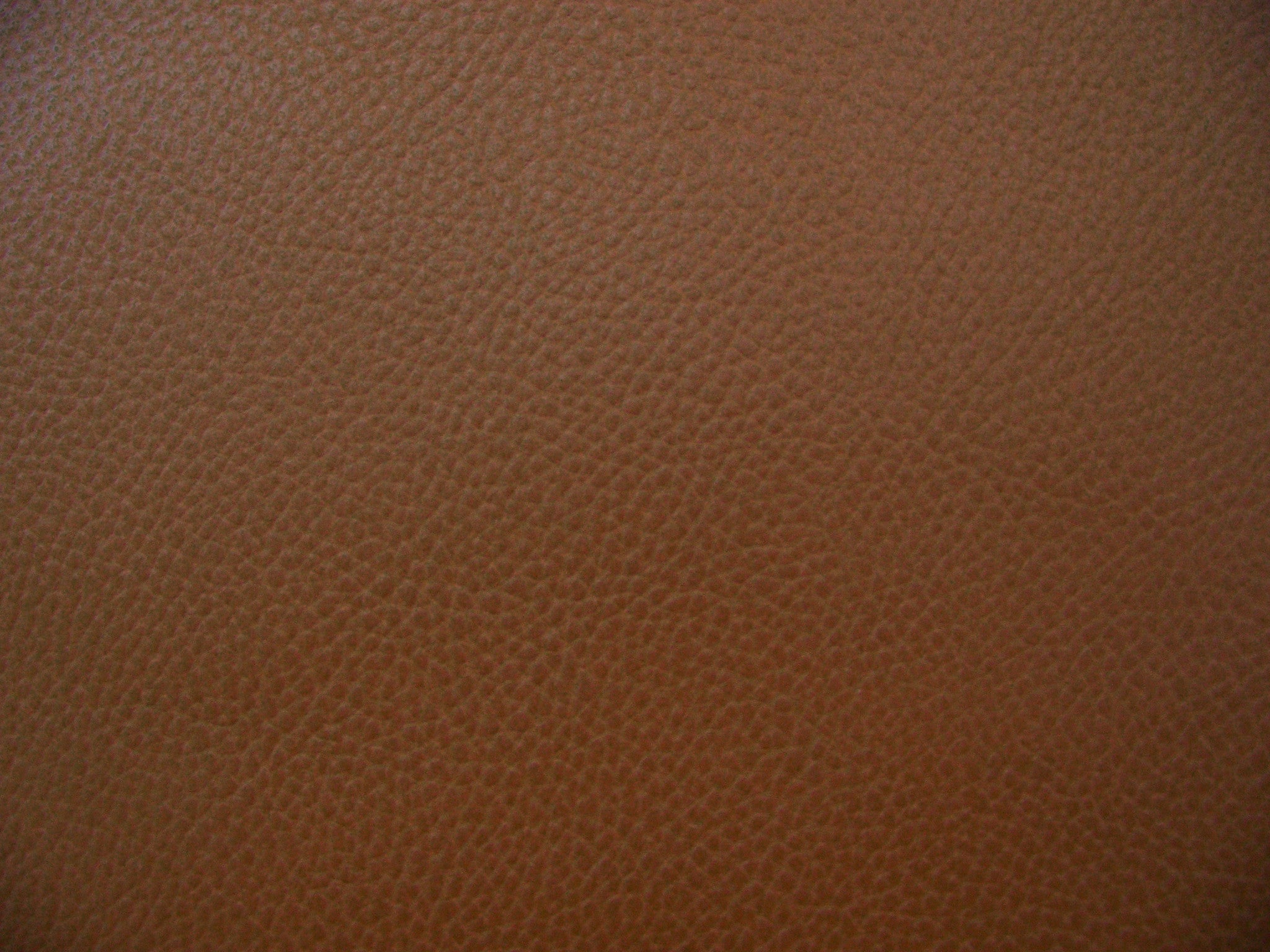 Fabric Remnant of Camino Brown