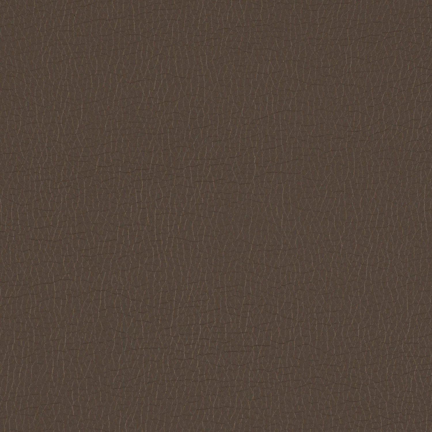 Momentum Textiles Upholstery Canter Basalt Toto Fabrics Online