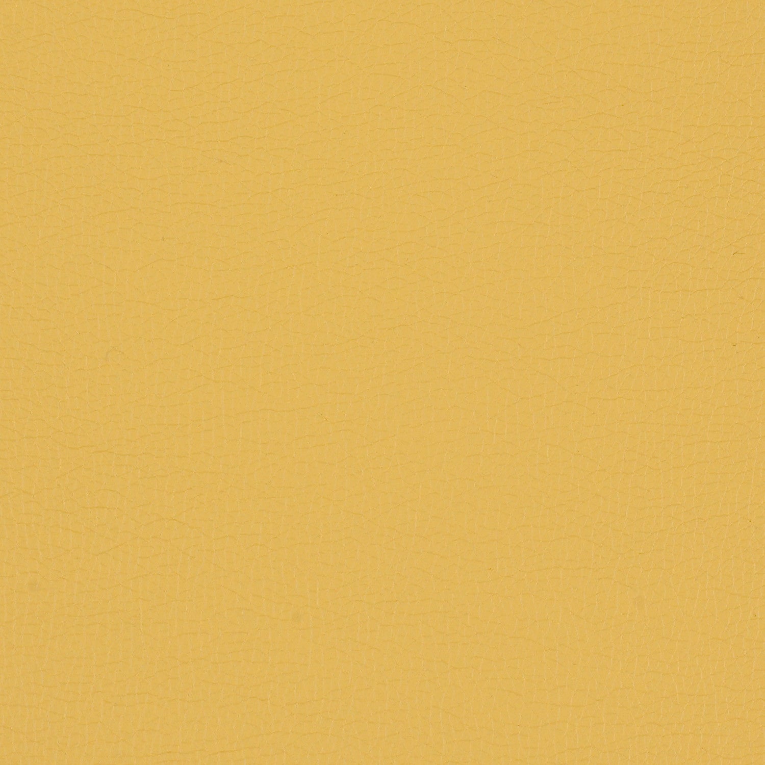 Momentum Textiles Upholstery Canter Maize Toto Fabrics Online