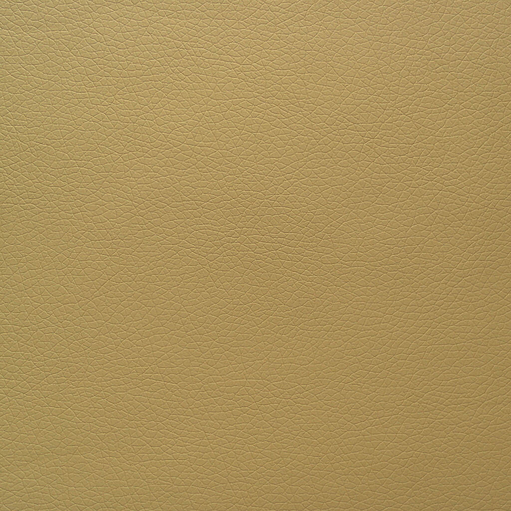 Momentum Textiles Upholstery Canter Toasty Toto Fabrics Online
