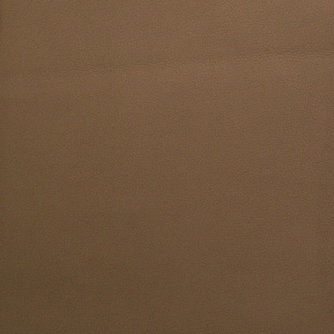 Momentum Textiles Upholstery Canter Tusk Toto Fabrics Online
