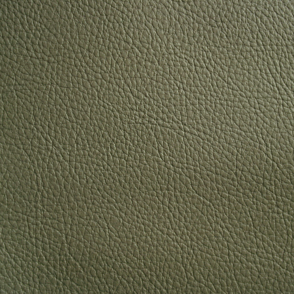 CF Stinson Upholstery Cassidy Stainless Toto Fabrics Online