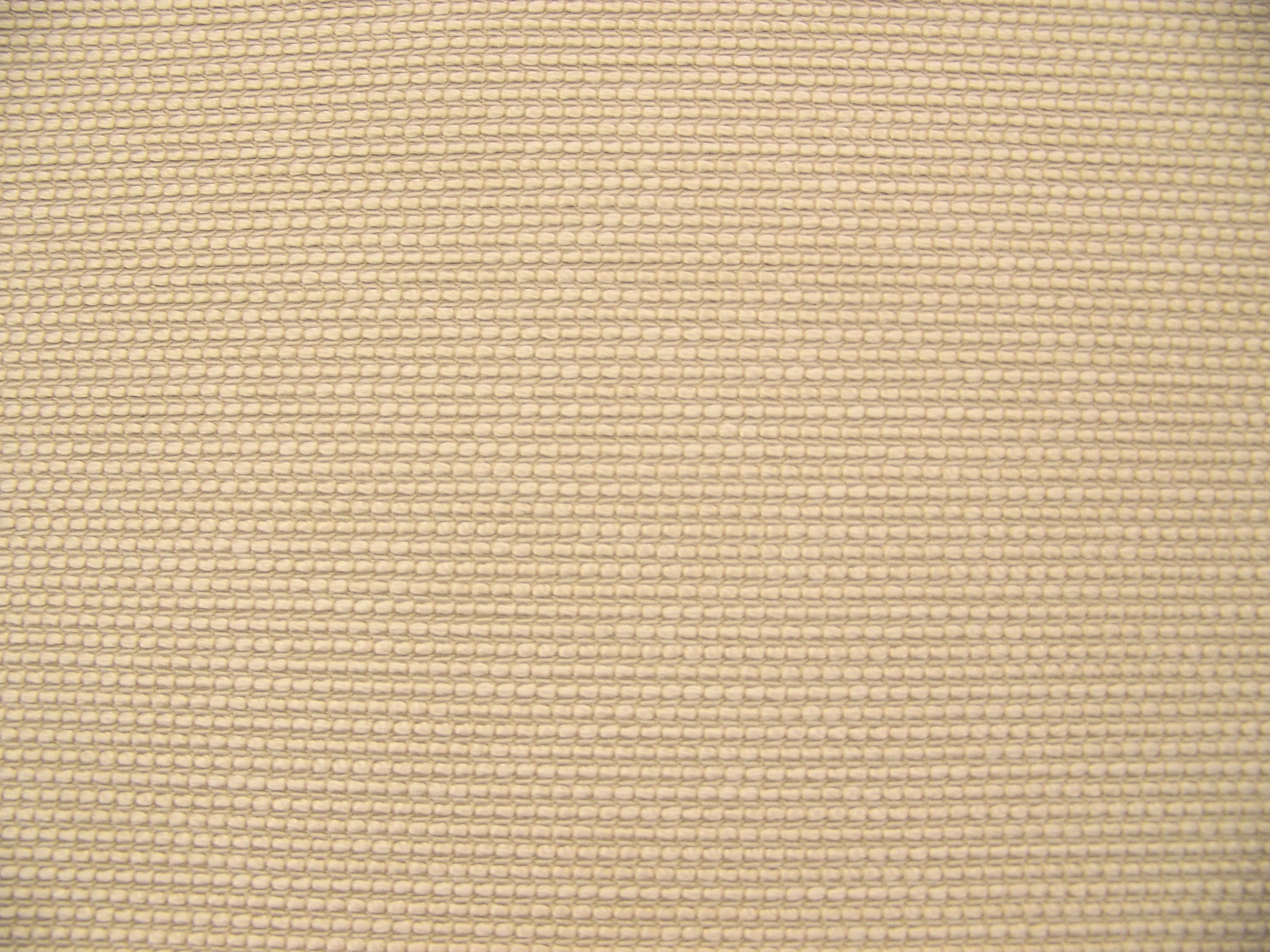 Fabric Remnant of Coast Pearl