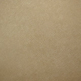 Fabric Remnant of Designtex Crosshatch Platinum Upholstery Vinyl