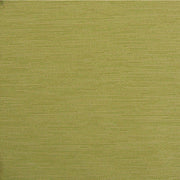 Fabric Remnant of Dart Bartlett