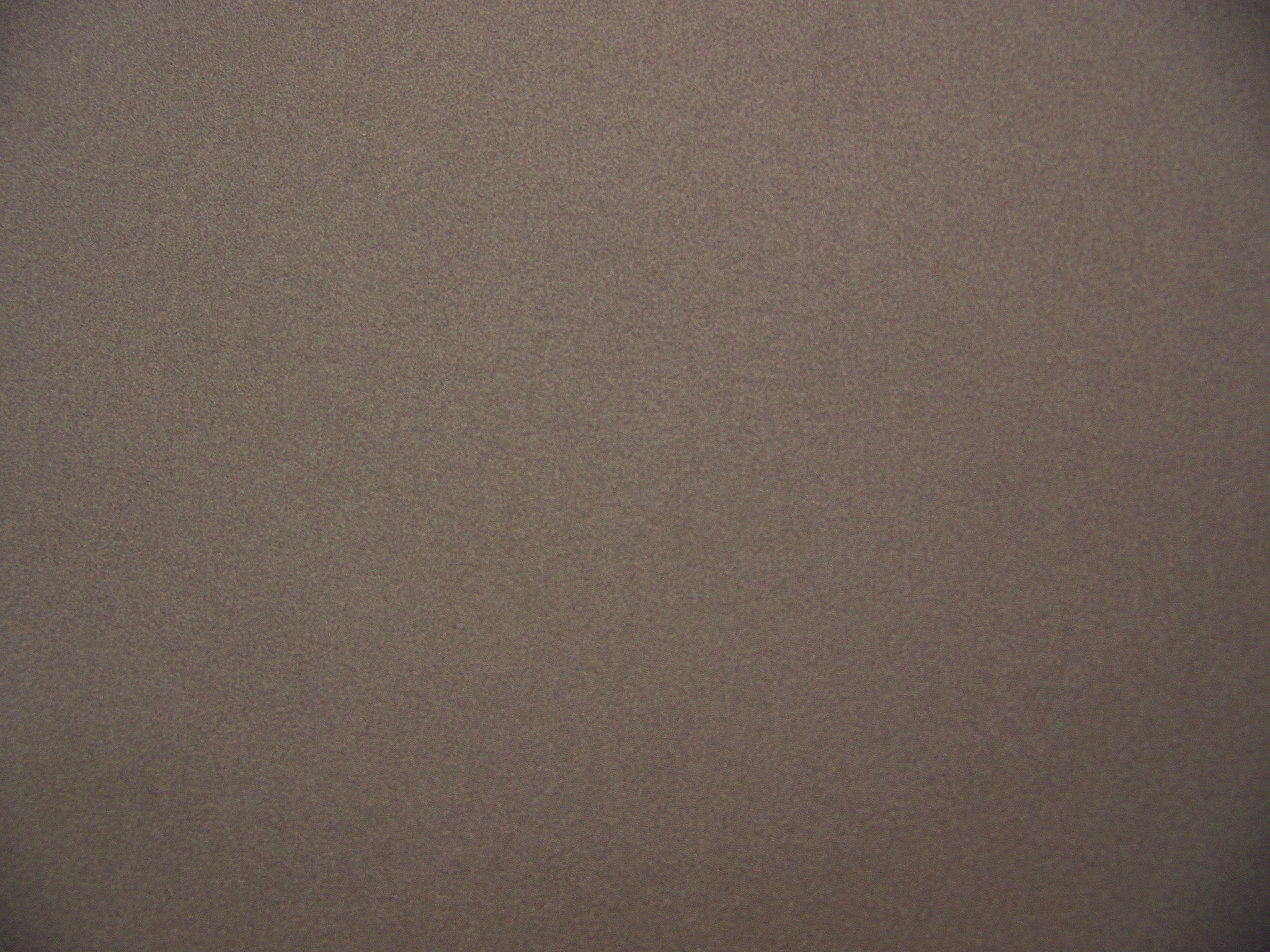 Fabric Remnant of Elan Mica