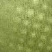 CF Stinson Upholstery Eli Lime Toto Fabrics Online