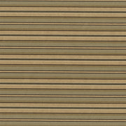 Upholstery Fabric Silky Multi Stripe Espy Chive Toto Fabrics