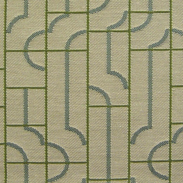 Fabric Remnant of Fiddle Path