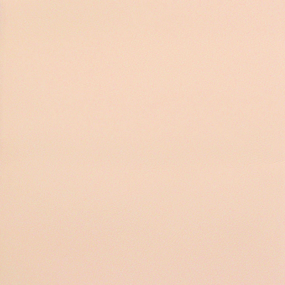 Upholstery Friendly Faux Polar Bear Toto Fabrics Online