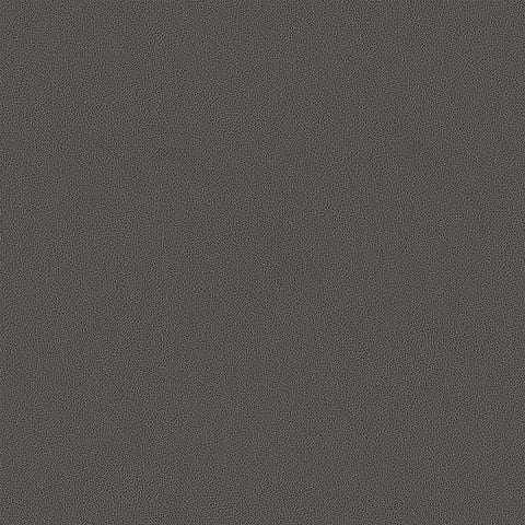 Carnegie Hide Color 19 Vinyl Grey Upholstery Fabric