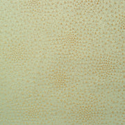 Upholstery Fabric Textured Panel How Many Spots Ivory Toto Fabrics