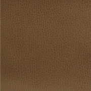 Upholstery Iguana Chestnut Toto Fabrics Online