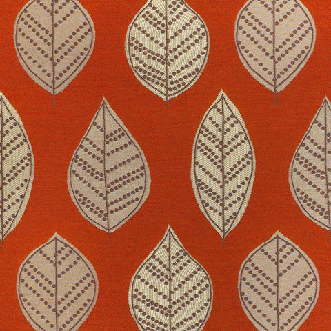 Momentum Textiles Upholstery Jardin Mandarin Toto Fabrics Online