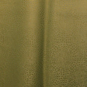 CF Stinson Upholstery Juxy Burst Toto Fabrics Online