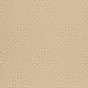 CF Stinson Upholstery Juxy Radius Toto Fabrics Online