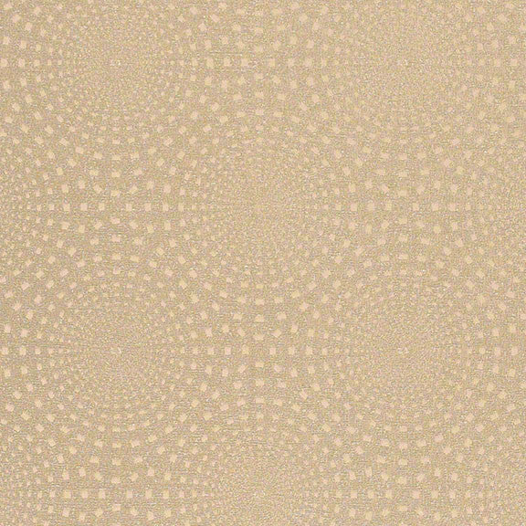 CF Stinson Upholstery Juxy Radius Toto Fabrics Online