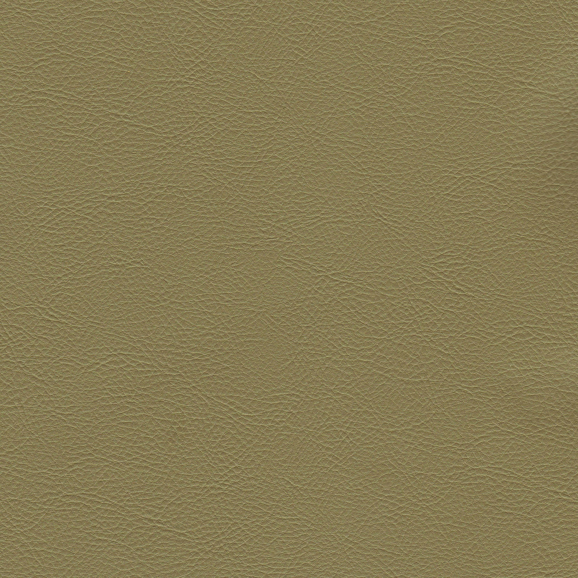 Maharam Fabrics Upholstery Lariat Fern Toto Fabrics Online