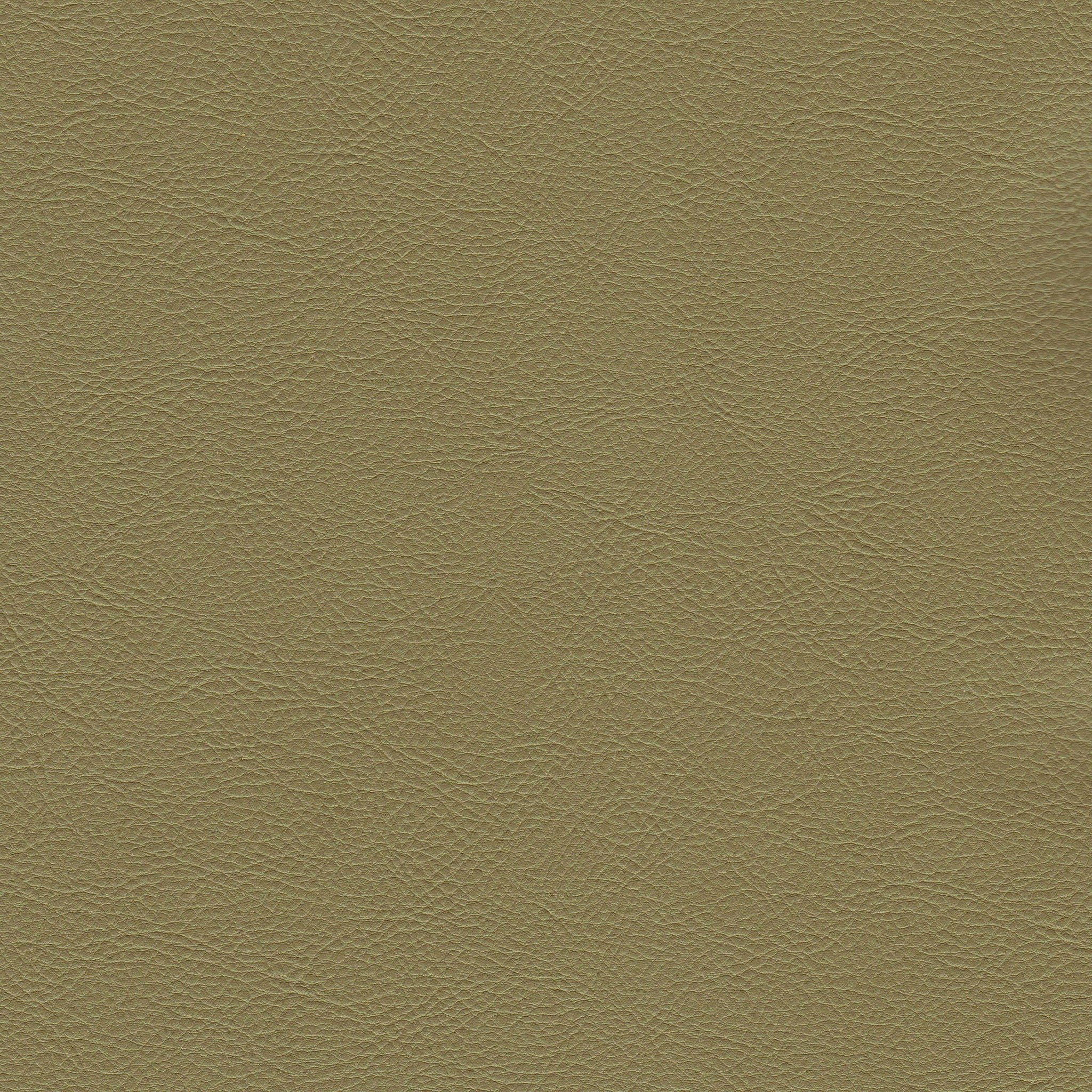 Maharam Fabrics Upholstery Lariat Fern Toto Fabrics Online