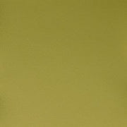 Upholstery Fabric Soft Faux Leather Legacy Pale Green Toto Fabrics
