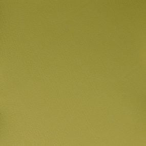 Upholstery Fabric Soft Faux Leather Legacy Pale Green Toto Fabrics