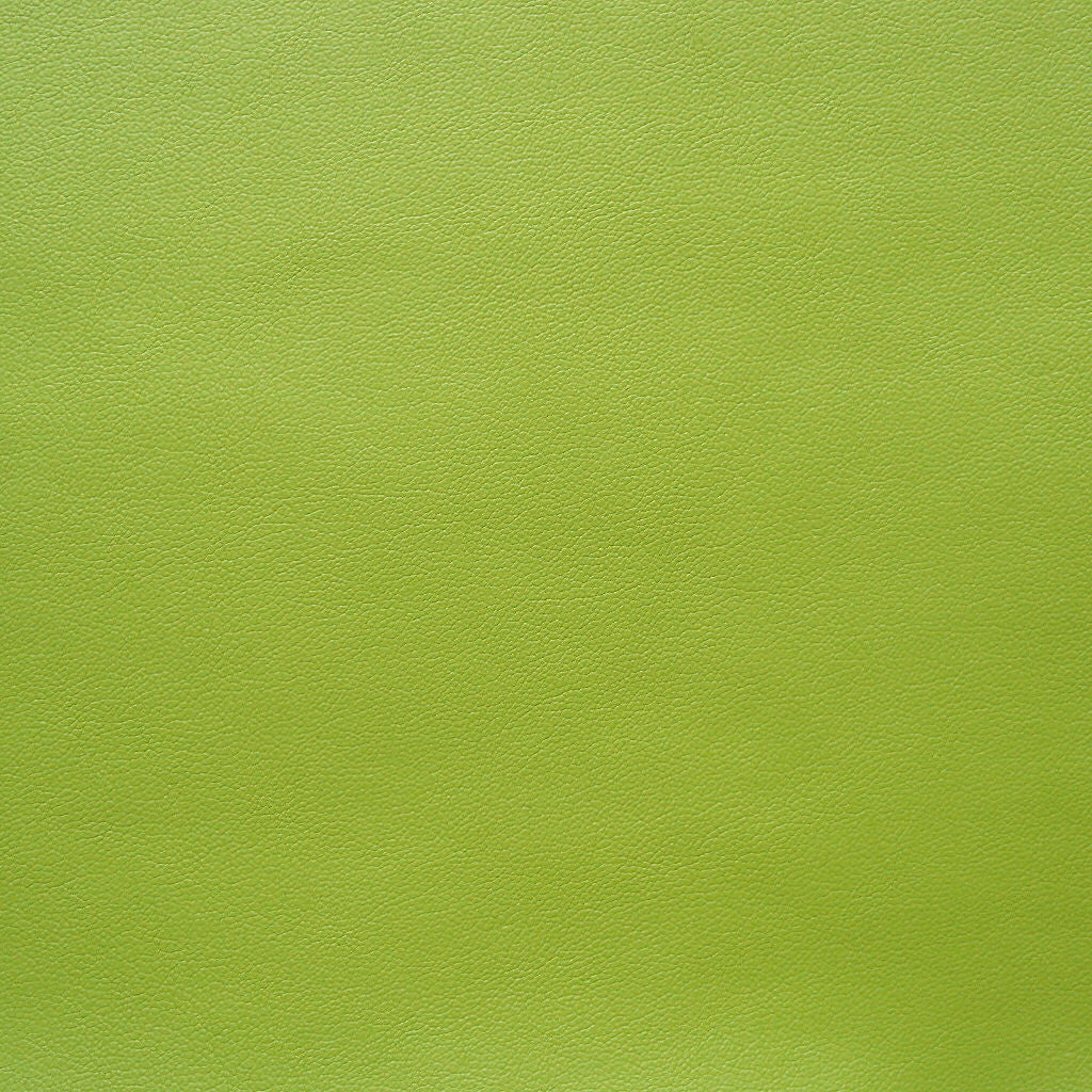 Remnant of Legacy Pale Green Green Upholstery Fabric