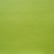Remnant of Legacy Pale Green Green Upholstery Fabric