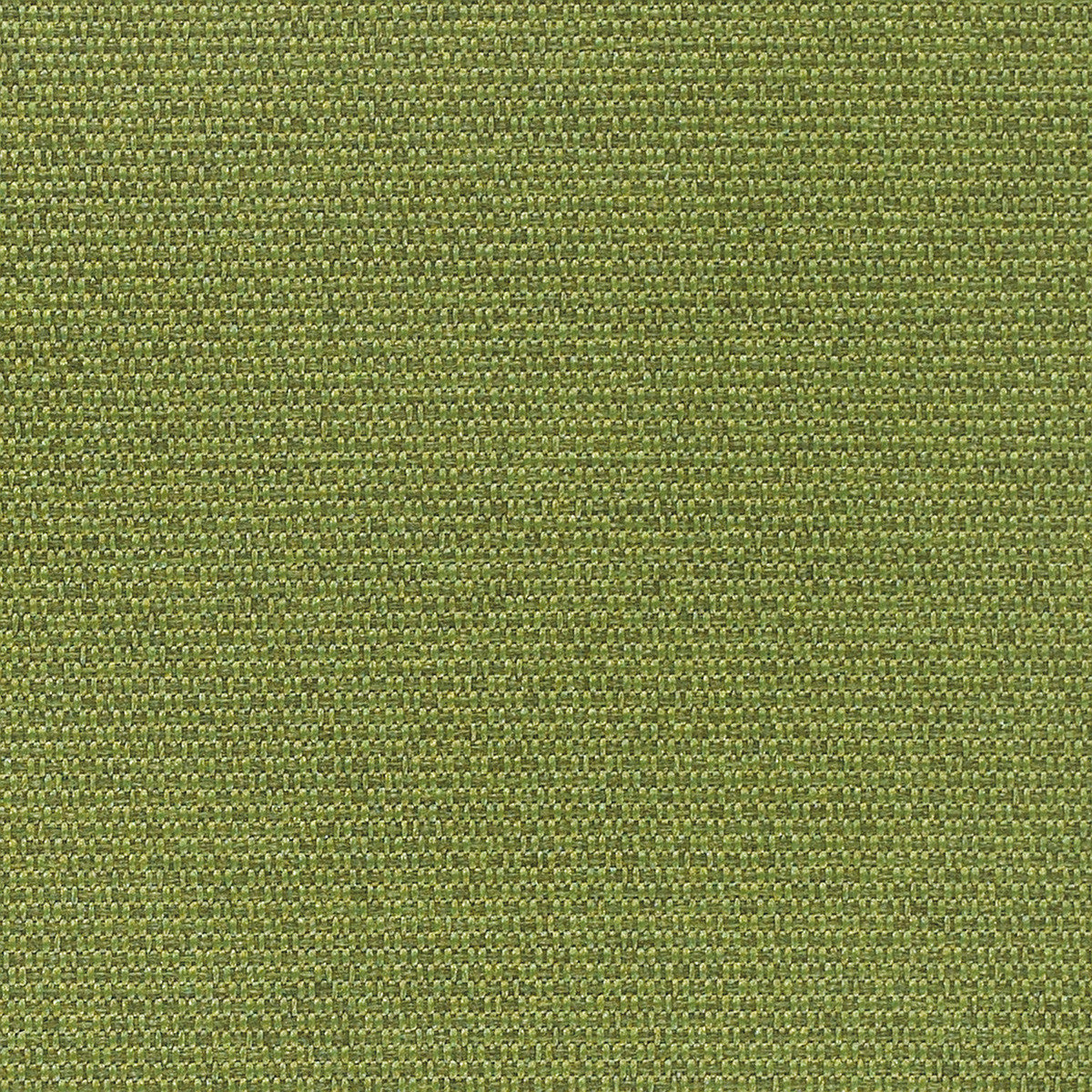 Momentum Textiles Upholstery Marathon Foliage Toto Fabrics Online