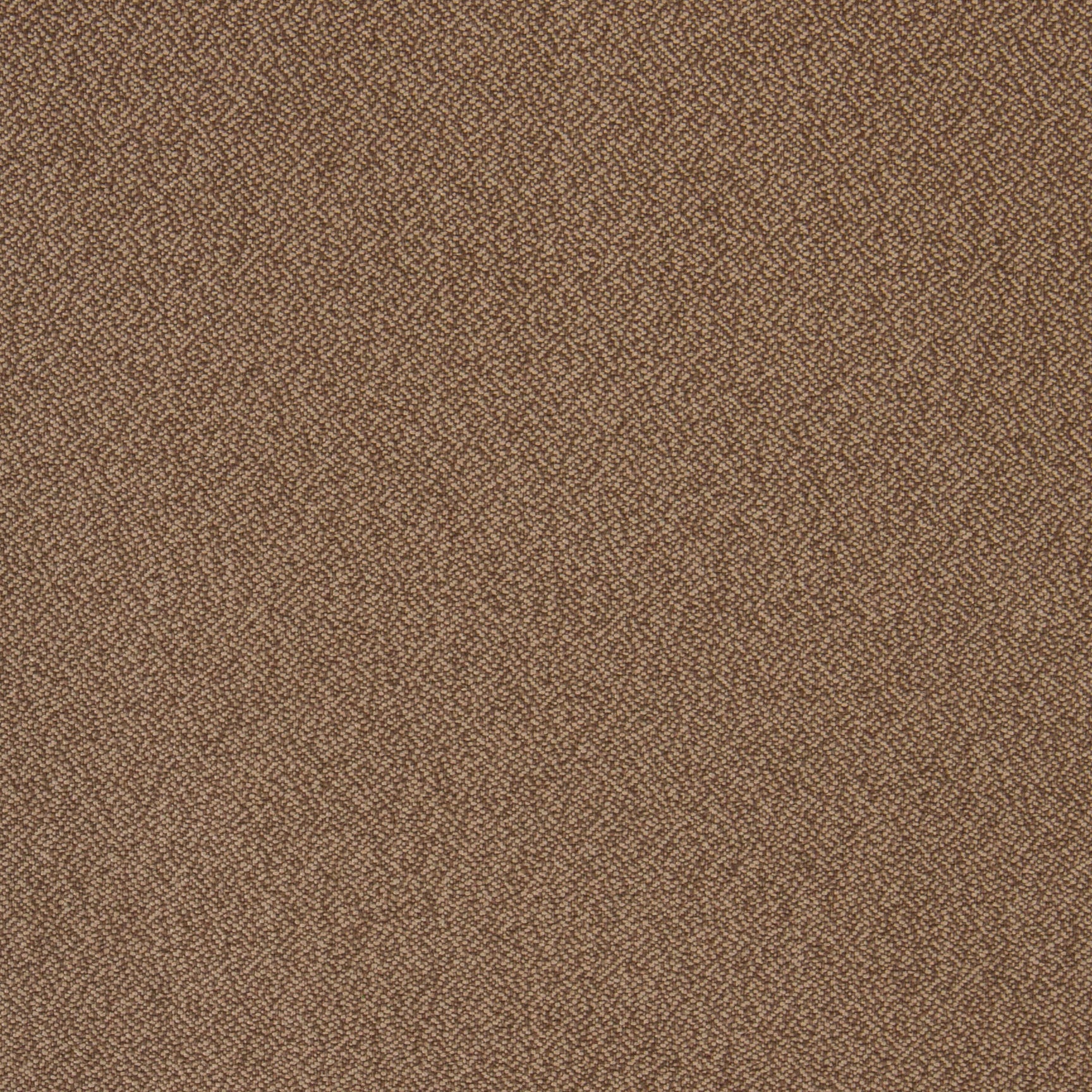 Upholstery Milestone Ground Toto Fabrics Online