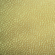 Upholstery Negril Gold Toto Fabrics Online