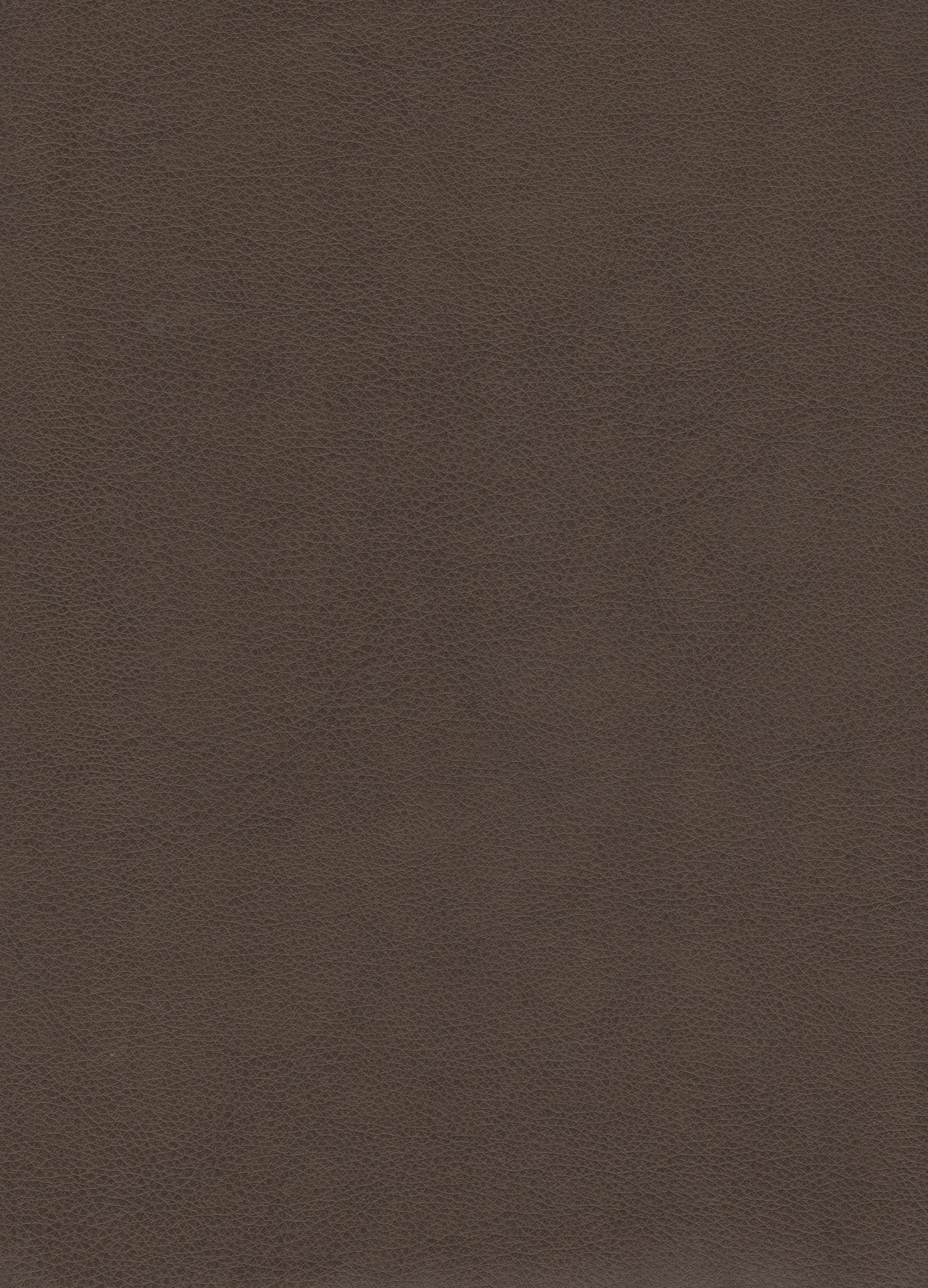 Upholstery Fabric  Powell Sepia Toto Fabrics