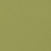 Upholstery Prairie Rattlesnake Toto Fabrics Online