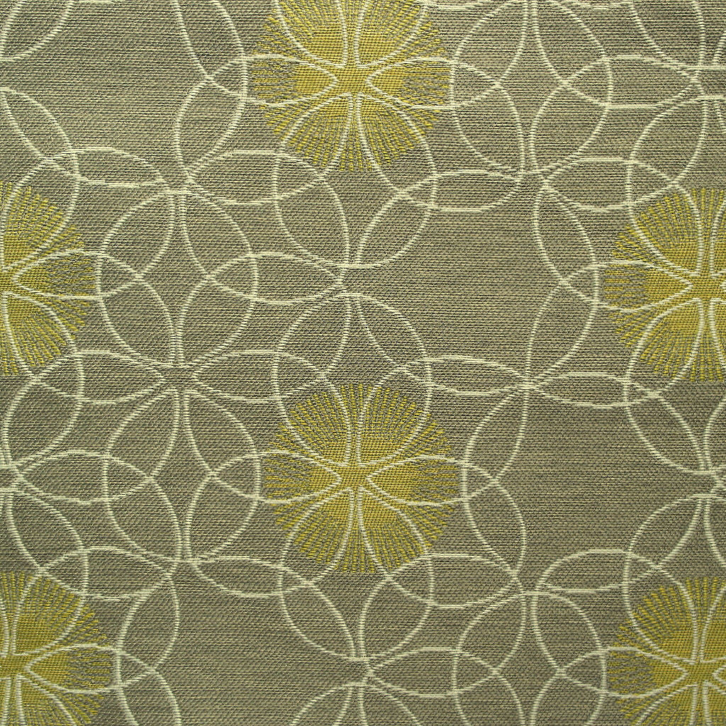 Momentum Textiles Upholstery Proximity Fossil Toto Fabrics Online