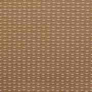 Momentum Textiles Upholstery Racer Nature Toto Fabrics Online