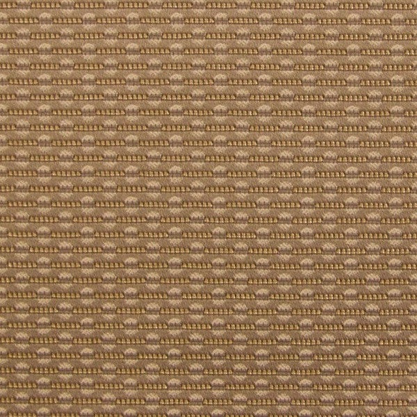 Momentum Textiles Upholstery Racer Nature Toto Fabrics Online