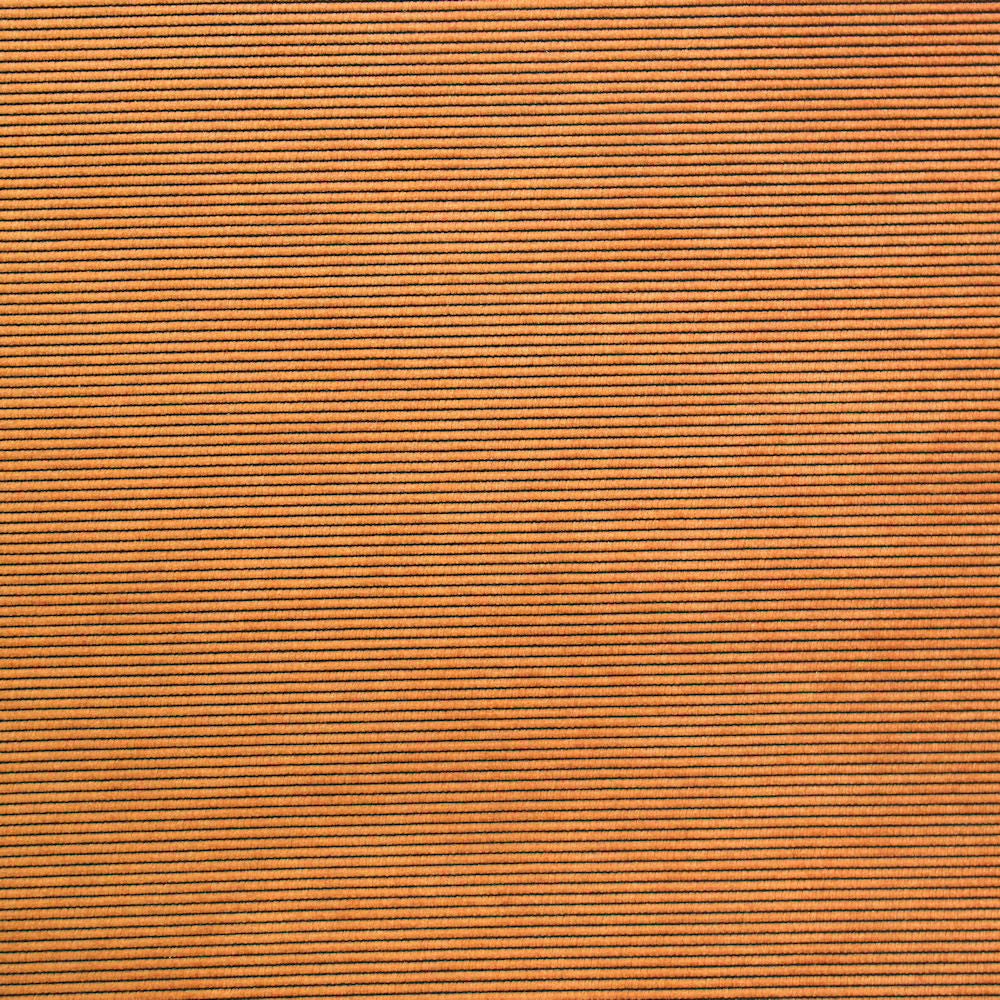 Fabric Remnant of Refine Carrot