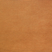 Fabric Remnant of Refine Carrot