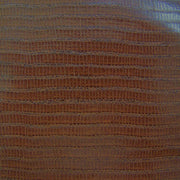 Upholstery Reptile Monitor Toto Fabrics Online