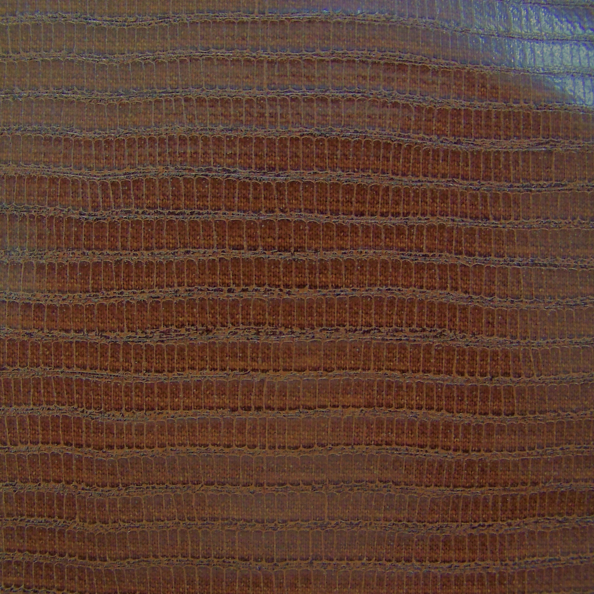 Upholstery Reptile Monitor Toto Fabrics Online