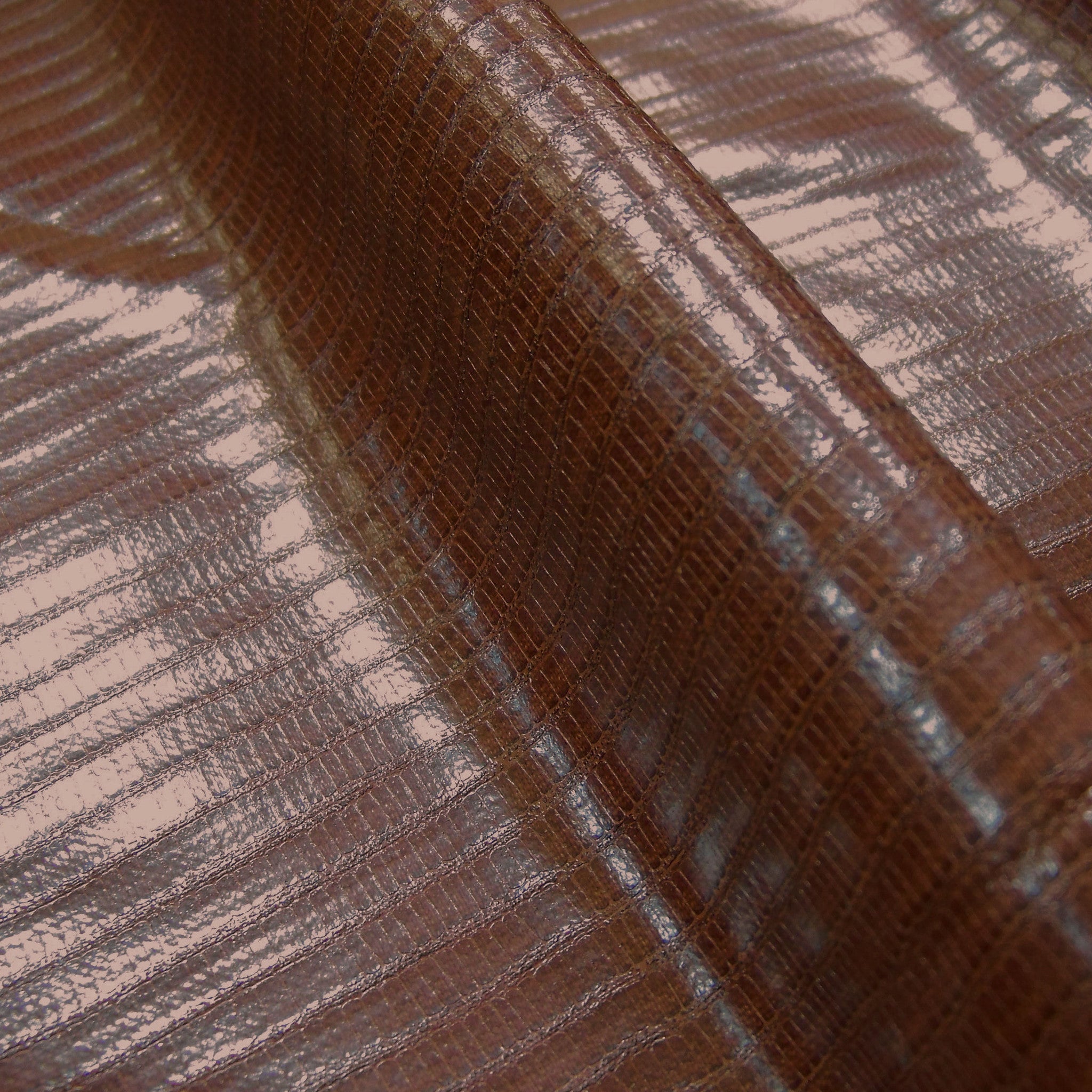 Fabric Remnant of Reptile Monitor