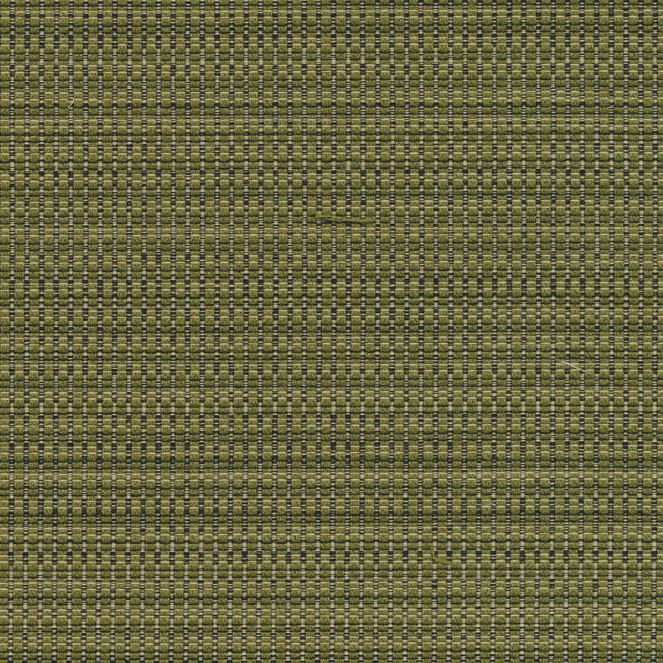 Upholstery Rivergrass Bamboo Toto Fabrics Online