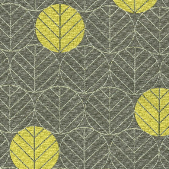 Designtex Fabrics Upholstery Round Leaves Brunia Toto Fabrics Online