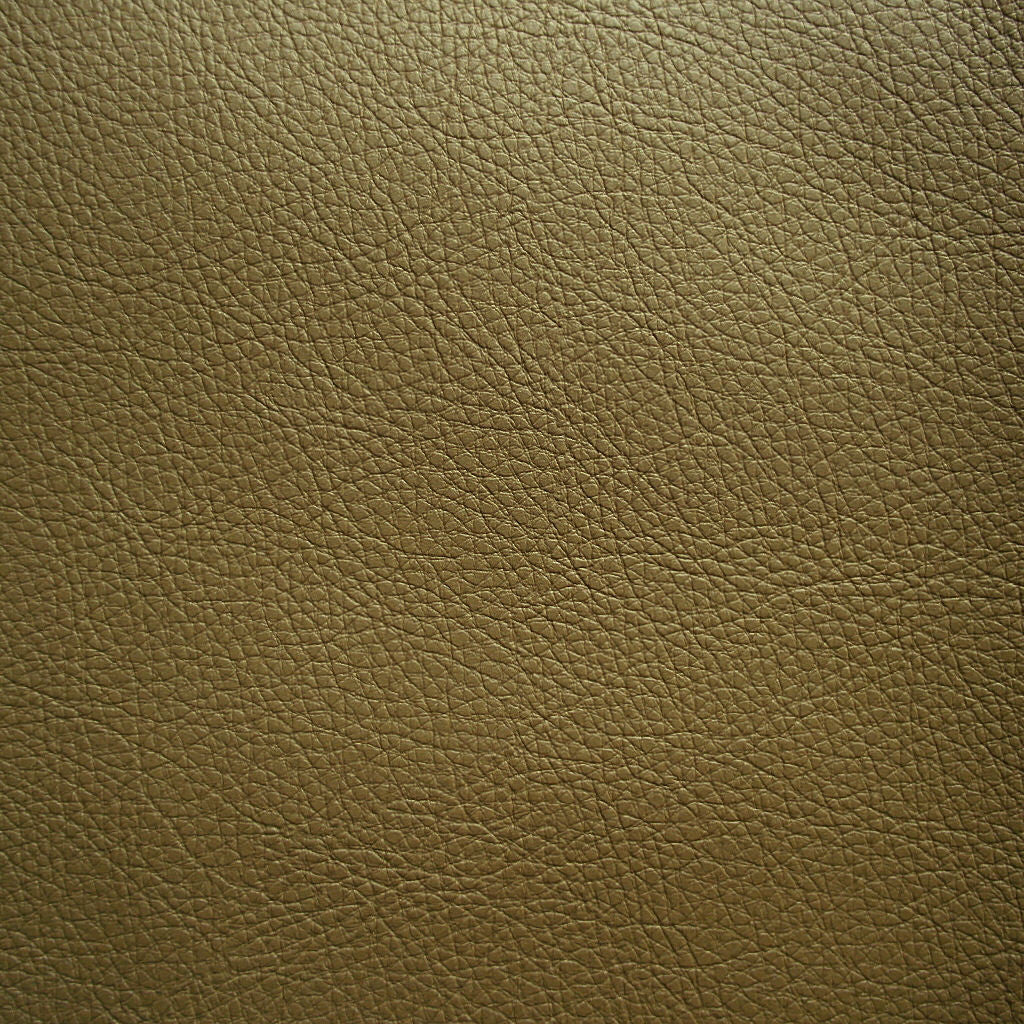 Remnant of Sandstone Sandstone Brown Upholstery Fabric
