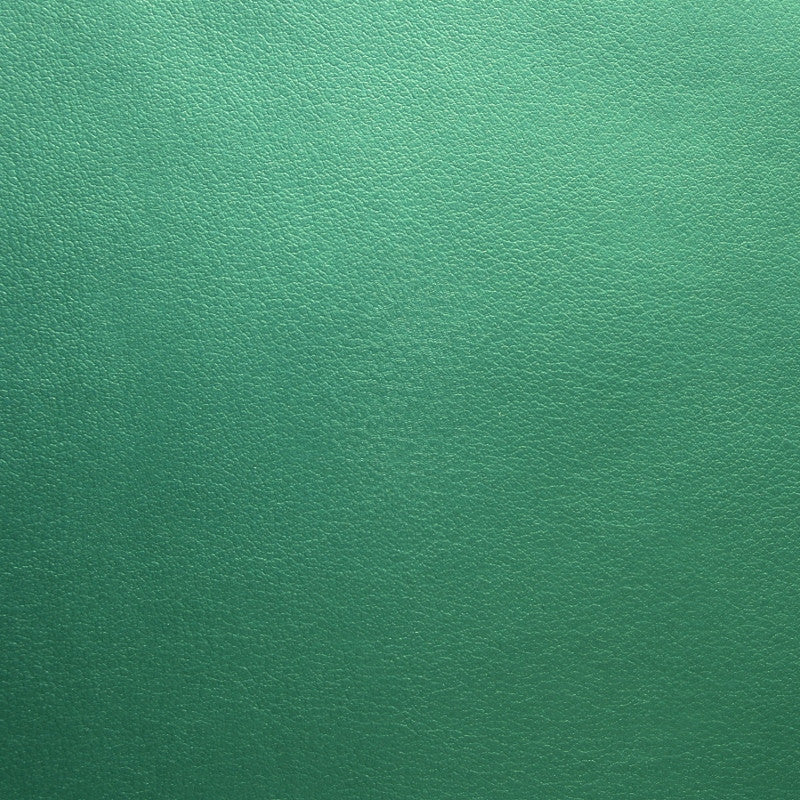 Momentum Silica Glade Green Upholstery Vinyl 