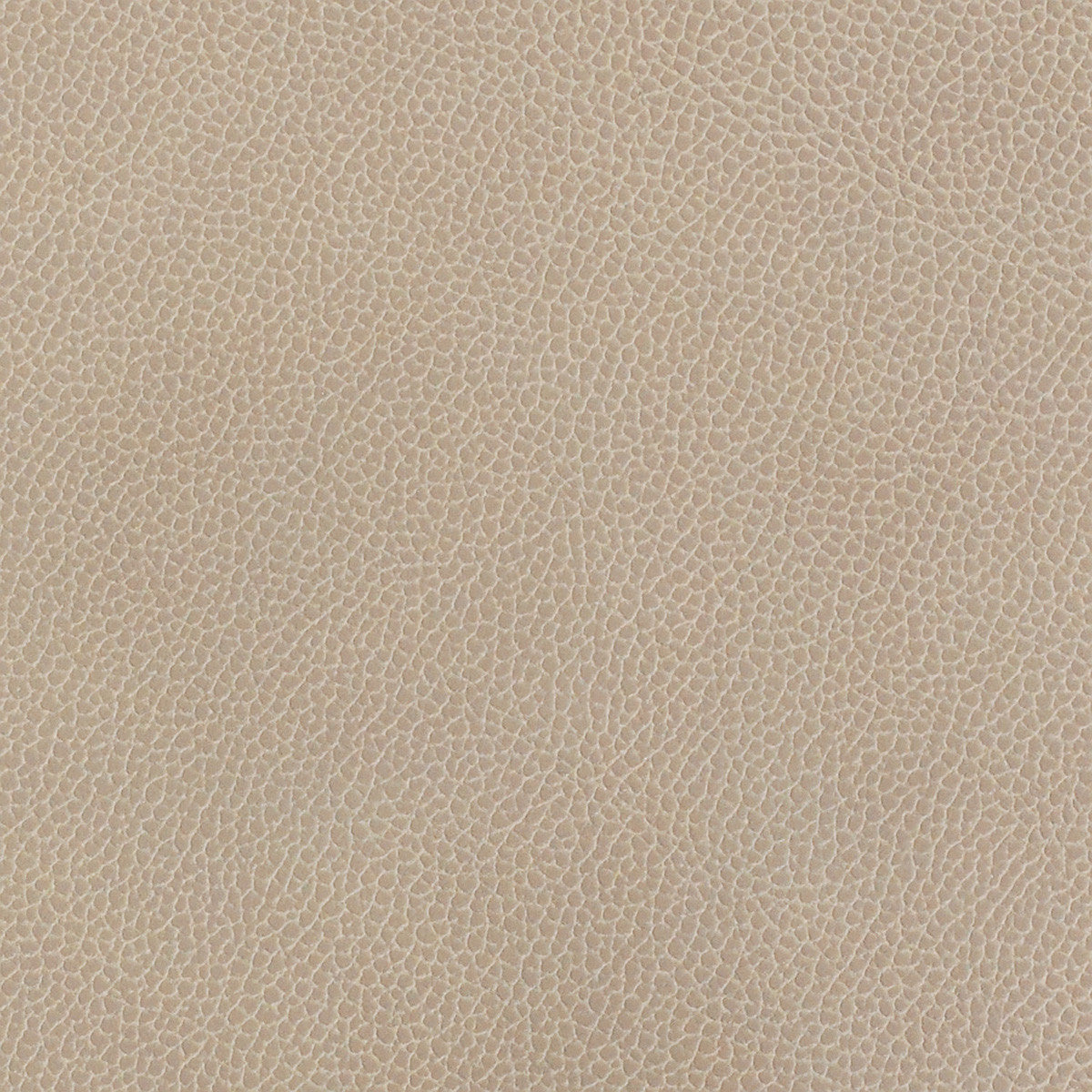 Momentum Textiles Upholstery Silica Leather Dove Toto Fabrics Online