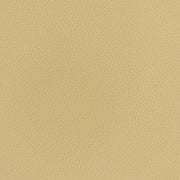 Upholstery Fabric Texture Tan Silicone Silica Leather Dune Toto Fabrics