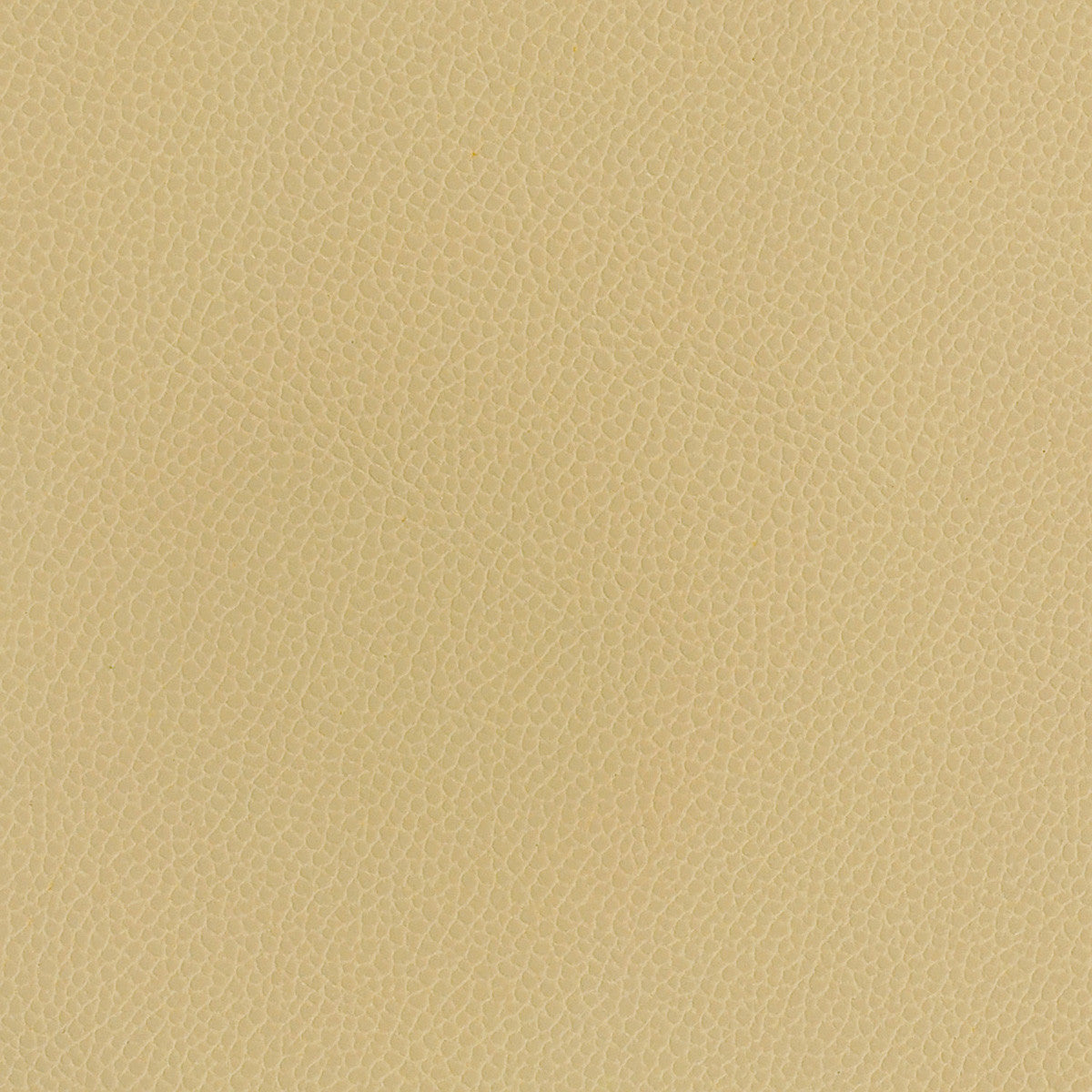 Upholstery Fabric Texture Tan Silicone Silica Leather Dune Toto Fabrics