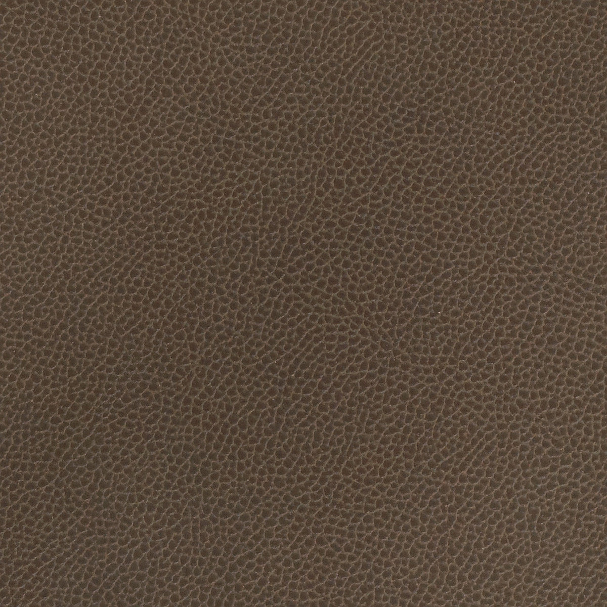 Upholstery Fabric Brown Faux Leather Silica Leather Mink Toto Fabrics
